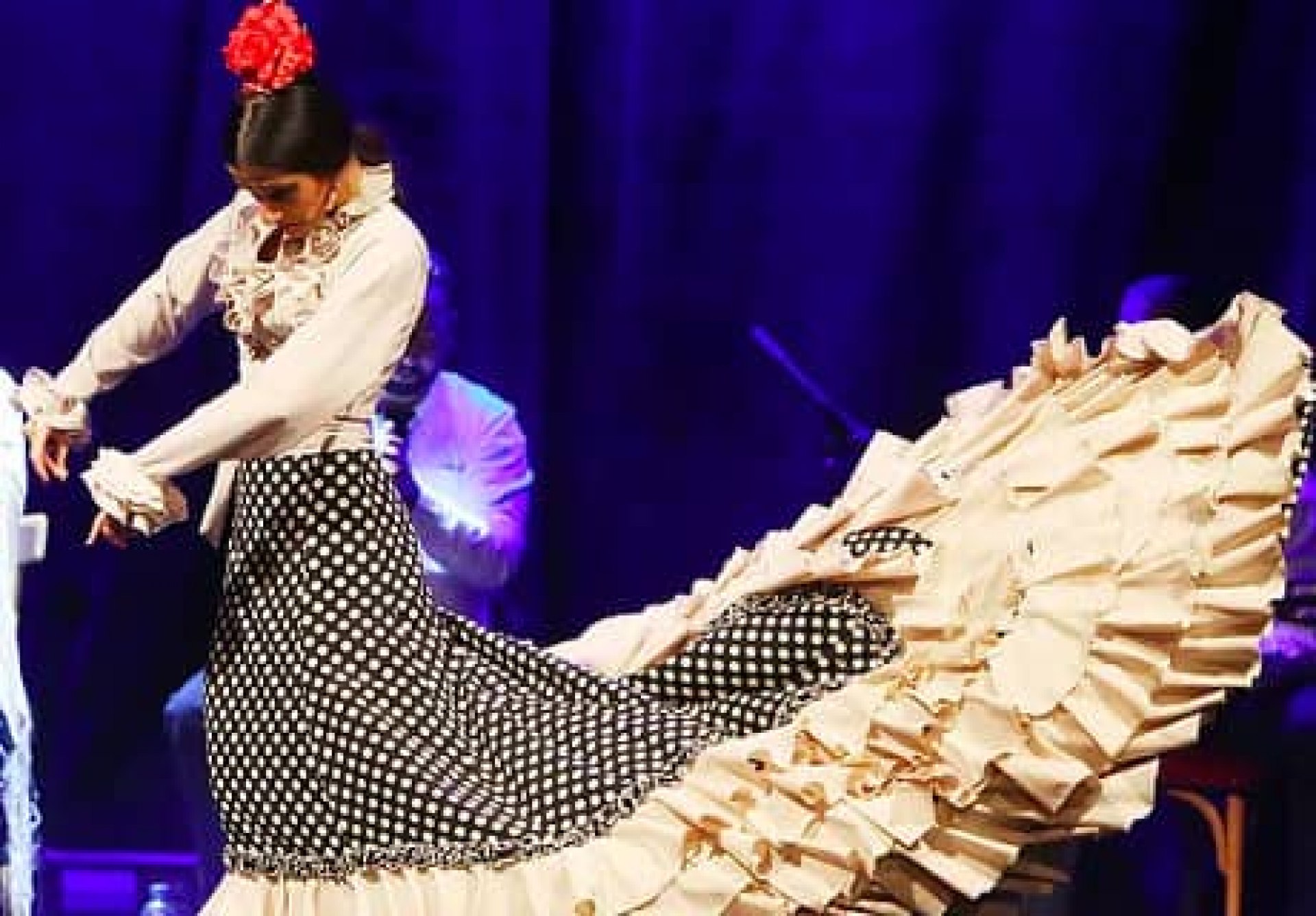 Espectáculo de flamenco en el Palacio de Dalmases