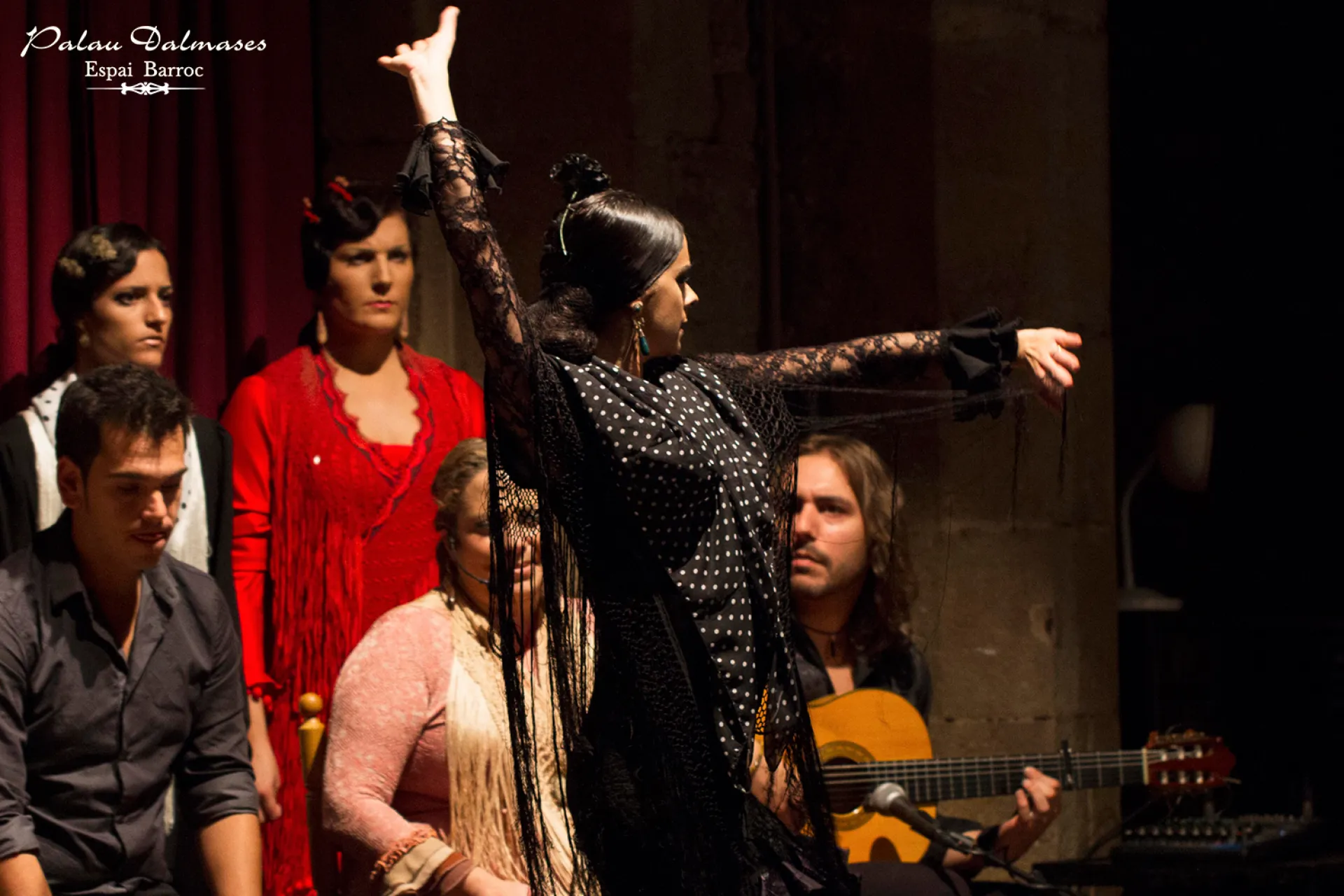 Flamenco show in Dalmases Palace