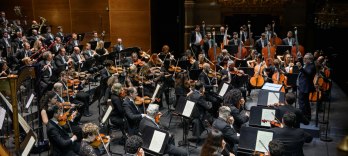 Mahler Universe