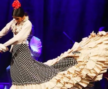 Spectacol de flamenco în Palatul Dalmases