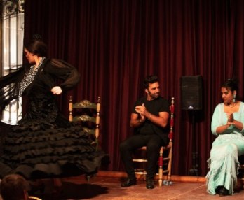 Palau Dalmases Show