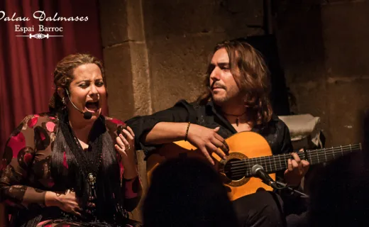 Flamenco show in Dalmases Palace