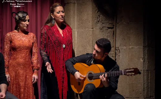 Flamenco show in Dalmases Palace