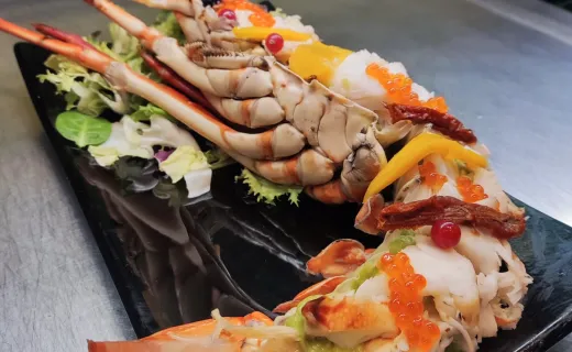 Gala du Nouvel An et Soirée Flamenco