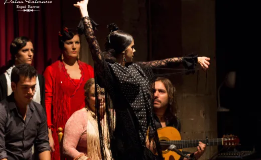 Flamenco show in Dalmases Palace