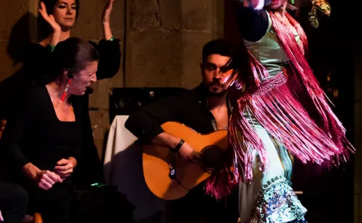 Flamenco show in Dalmases Palace