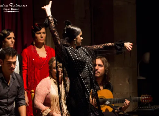 Flamenco show in Dalmases Palace
