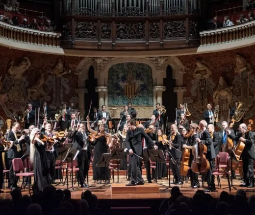 Valles Symphony Orchestra