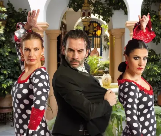 Arte Flamenco