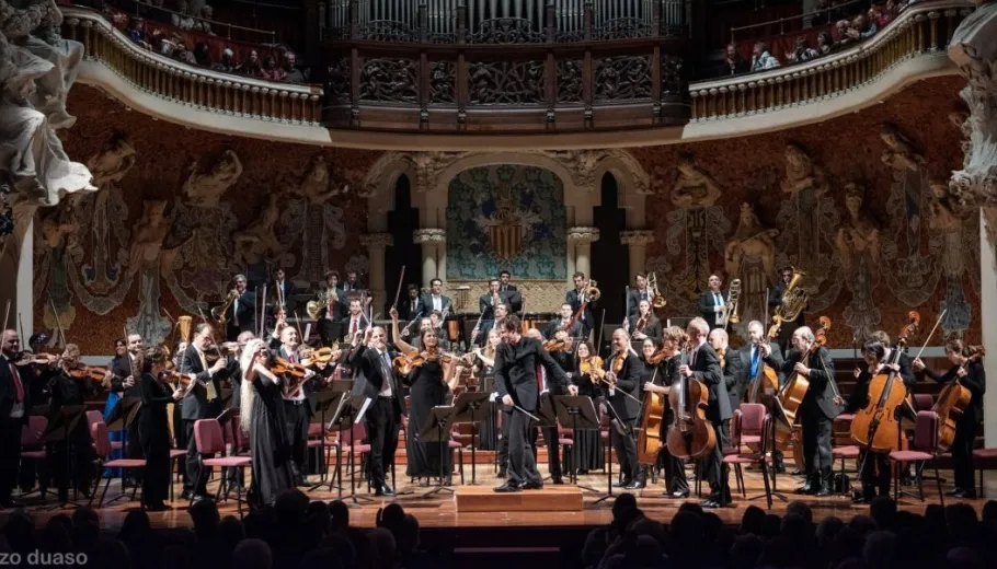 Valles Symphony Orchestra